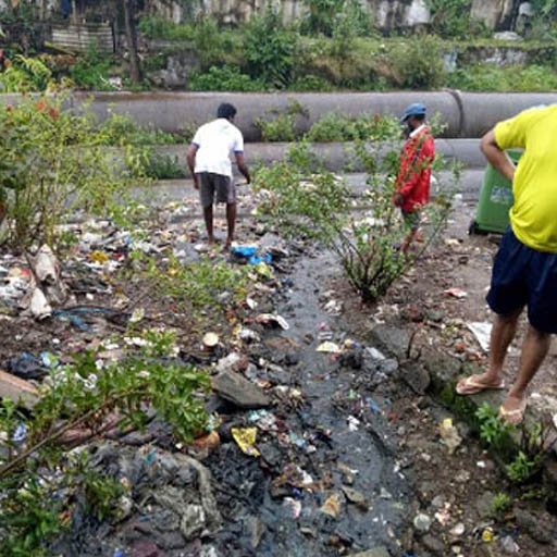 Clean Mumbai, Green Mumbai